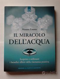 Il Miracolo dell'Acqua
