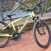 roma biciclette rockrider 24