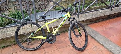 roma biciclette rockrider 24