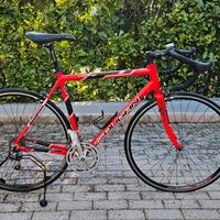 bici da corsa Lee Cougan