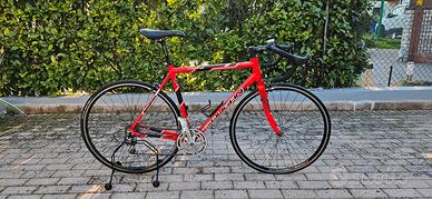 bici da corsa Lee Cougan