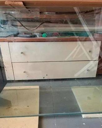 Acquario 250 litri completo con filtro e lumache 