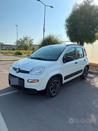 fiat panda hybrid 2021
