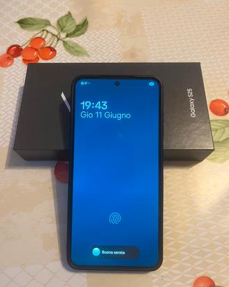 Samsung Galaxy S25 