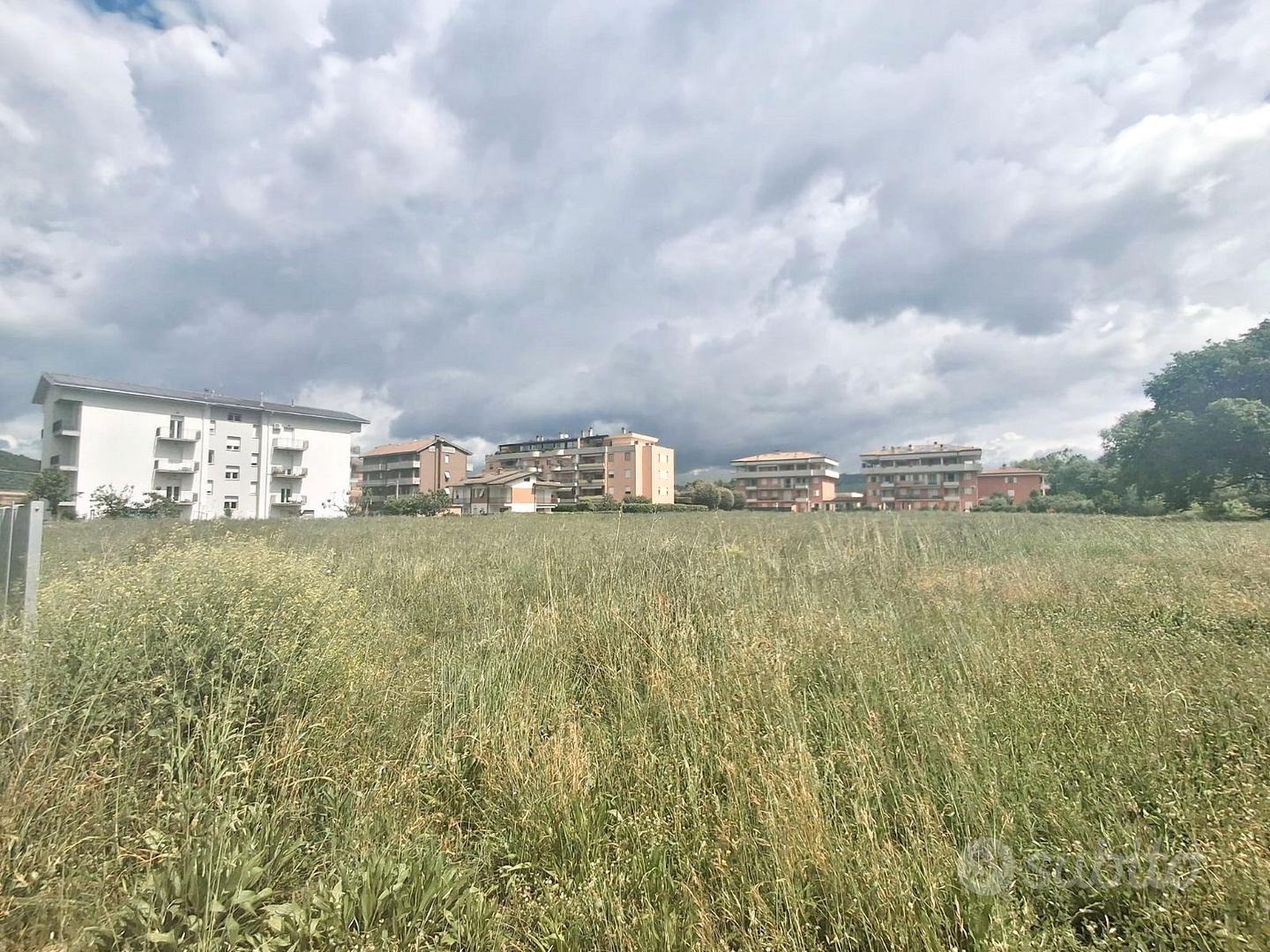 Terreno edificabile mq 3500. - Altro