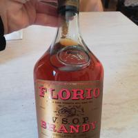 Brandy florio
