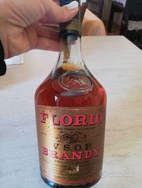 Brandy florio