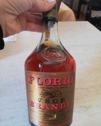 Brandy florio