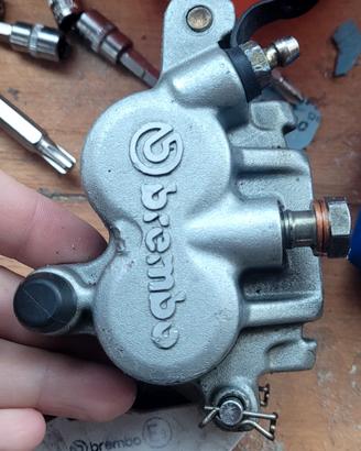 Pinza anteriore ktm,husquarna,beta NUOVA