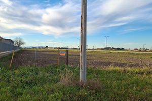 Terreno in Via/Tratturo Camporeale Foggia