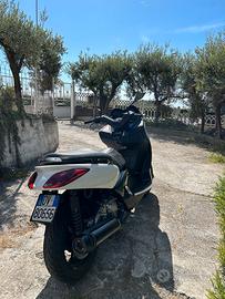 Xmax 250