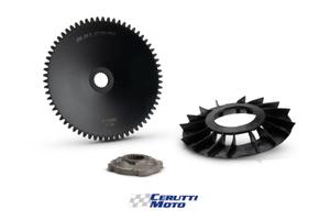 Complessivo semipuleggie Malossi per Piaggio 50