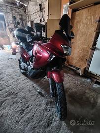 Honda transalp 650