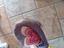 Immagine 4