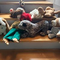 peluches, router, pennetta internet