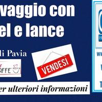 372/17 in Prov. di Pavia AUTOLAVAGGIO con tunnel