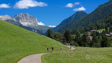 Maggio - Giugno in valle di Fiemme Predazzo