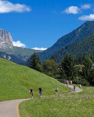 Maggio - Giugno in valle di Fiemme Predazzo