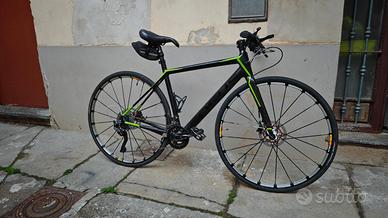 Bici Focus Carbonio