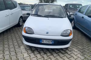 Fiat Seicento 900i cat Young