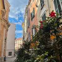 Ristorante-Pizzeria con forno a legna