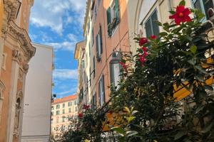 Ristorante-Pizzeria con forno a legna