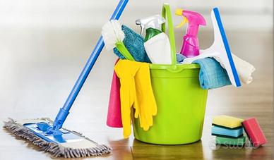 Cerchi aiuto per le pulizie?