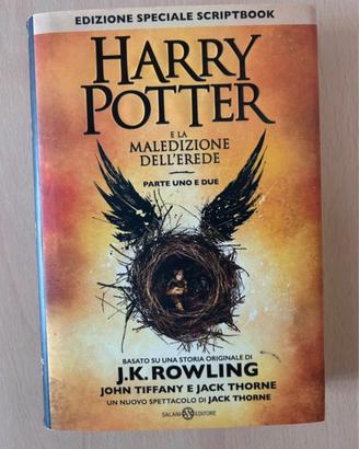 Romanzo “Harry Potter e la maledizione dell’erede”