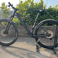 scott scale 980 2023