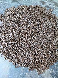 pellet di castagno