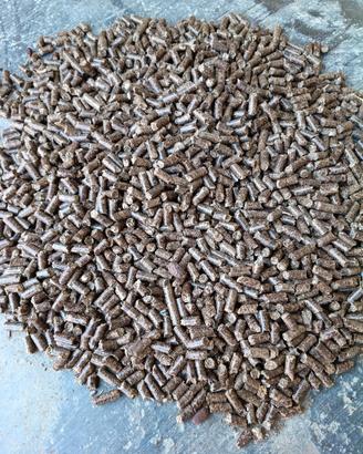 pellet di castagno