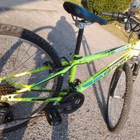 Bicicletta Mountain Bike