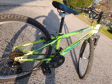 Bicicletta Mountain Bike