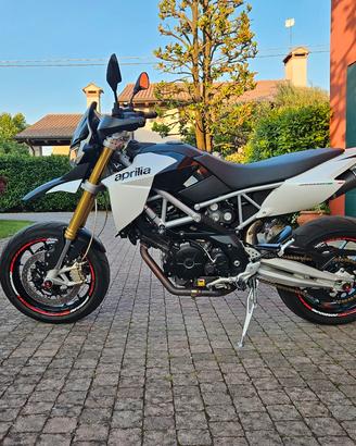 Dorsoduro 750