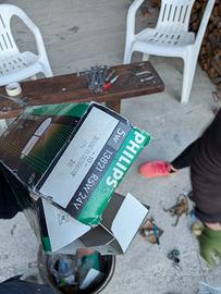 Lampadine R5W e P21W Philips