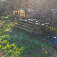 Tronchi di noce nazionale