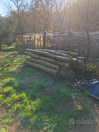 Tronchi di noce nazionale