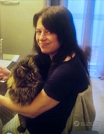 Ripetizioni MATEMATICA CHIMICA FISICA BIOLOGIA