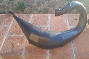 Pancia Giannelli am6