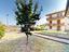 Immagine 24
