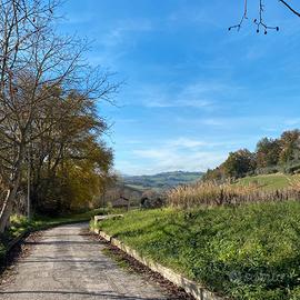 Pensione per cani 24 h Macerata dog sitter
