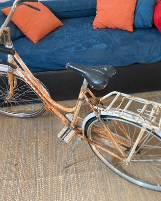 Bicicletta donna “26