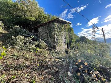 Valtellina Mantello rustico con terreno