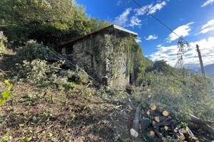Valtellina Mantello rustico con terreno
