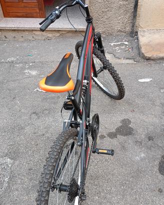 Bici mountain bike 24