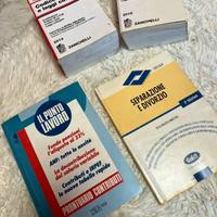 Lotto Libri di Diritto – Codice Civile, Lavoro, Fa