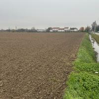 Terreno agricolo MASERA di padova 10 ettari