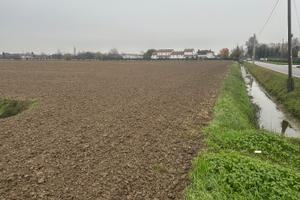 Terreno agricolo MASERA di padova 10 ettari