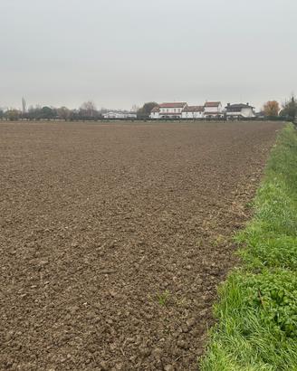 Terreno agricolo MASERA di padova 10 ettari