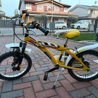 Bicicletta bambino 3 - 6 anni